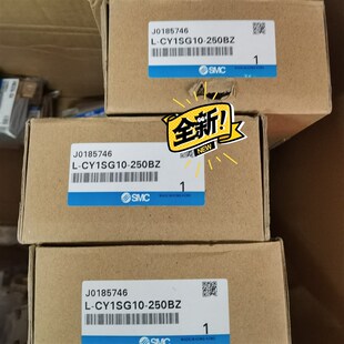 250BZ CY1SG10 认为假货勿扰 SMC无杆气缸