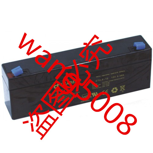 原装 LEADER蓄电池CTG2.3-12 12V2.3AH 船舶VDR电瓶 火警报警系统