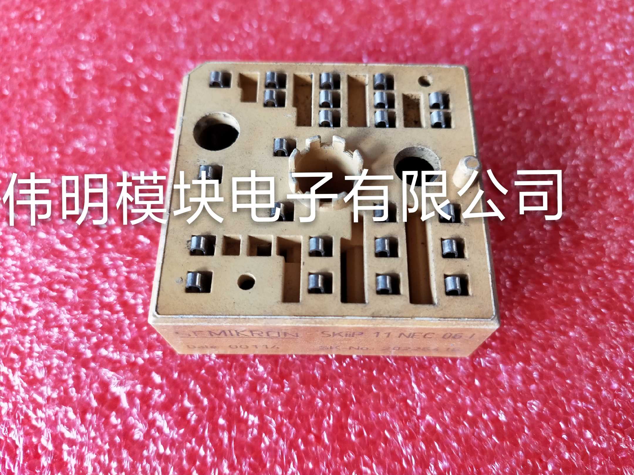 SKIIP10NEC063IT1 SKIIP11NEC063IT1 SKIIP10NEC063T1 C063IT5