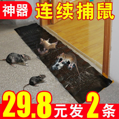 大号粘鼠毯超强力粘鼠板灭鼠神器捕鼠毯沾抓黑底进口黑胶黏鼠家用