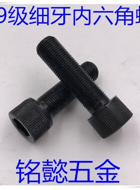 12.9级细牙内六角螺丝细扣全牙内六角螺丝M12X1X25 - M12X1X120