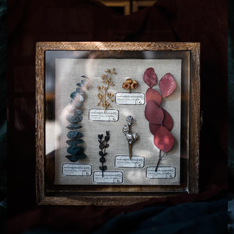 种籽造物时间痕迹植物标本侘寂客厅干 干燥花挂画 画覆古装饰画