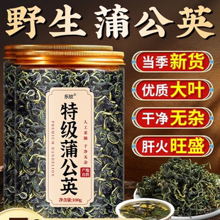 蒲公英正品特级野生中药材整根蒲公英茶正品 植物提取物肝火旺盛