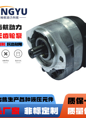 液压泵SDH齿轮泵CBDa-F410 泵CBDa-F13.8L50P CBDa-F16.7高压油泵