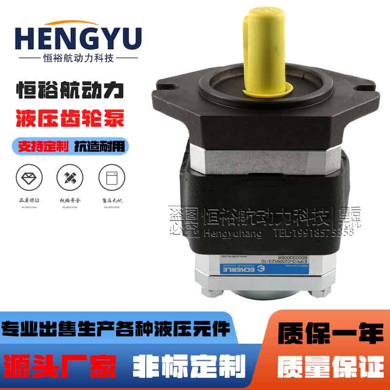 艾可勒ECKERLE齿轮泵EIPC3-025RK23 EIPC6-125RA EIPC5-080液压泵