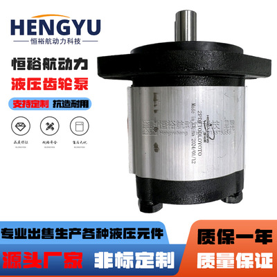 恒裕航液压泵2PDF10DL0Y0T0油泵HPI齿轮泵P1AAN2010HL20C02泵高压