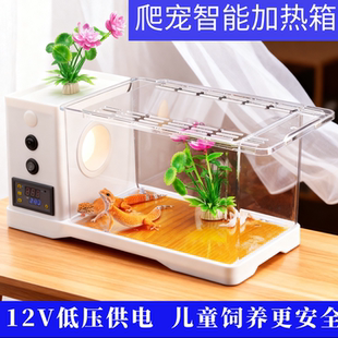爬宠智能恒温饲养箱12V低压电加热豹纹肥尾守宫蛇蜘蛛寄居蟹通用