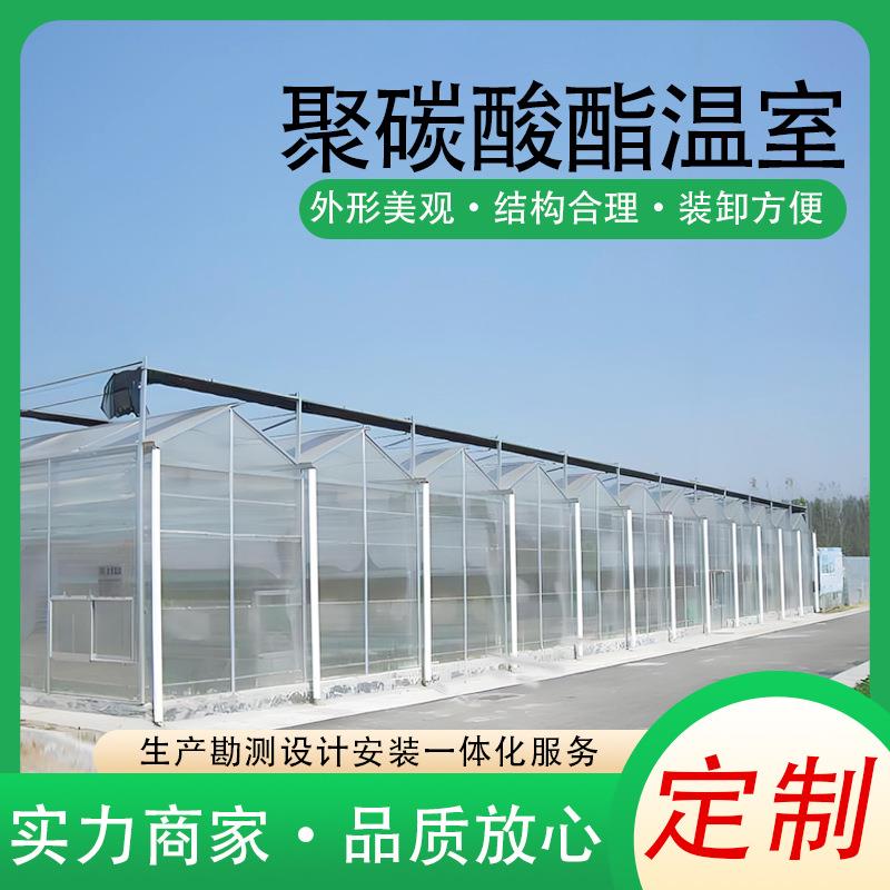 聚碳酸酯温室大棚镀锌钢管大棚骨架蔬菜水果种植阳光板温室
