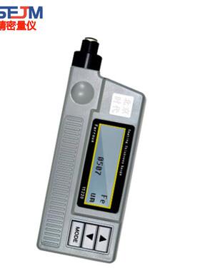 TT220涂层测厚仪漆膜厚度检测仪油漆镀锌层厚度测量仪器