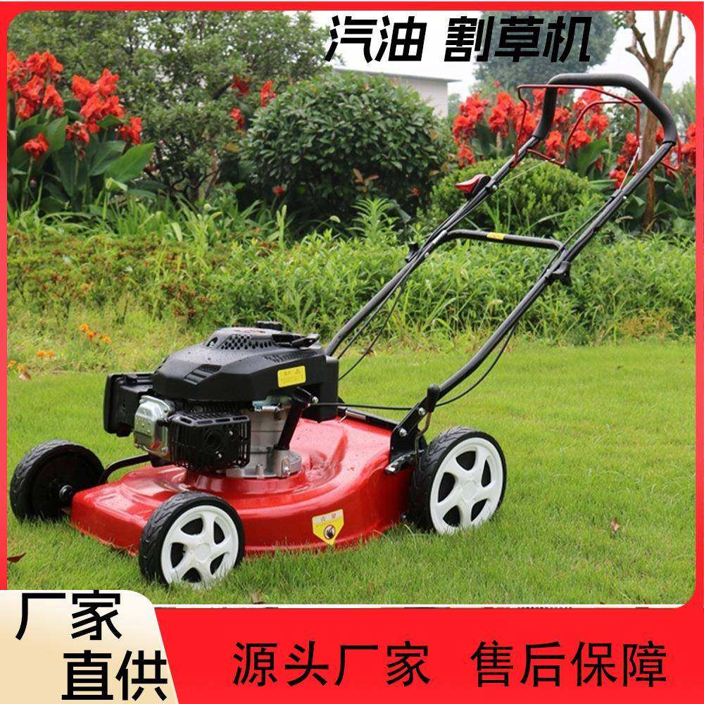 自走式汽油割草机物业家用草坪碎草除草机手推集草框草坪机,农机/农具/农膜,割灌机/割草机/油锯,淘宝优惠券,粉丝福利购,淘宝优惠卷