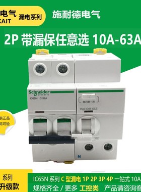 IC65N C16C32C40C63 VIgi ic65ELE正品施耐德漏电开关断路器漏保