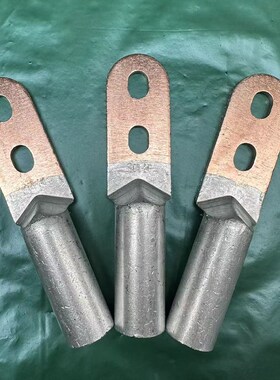 双孔铜铝鼻子 过度接线端子 接线耳DTLS线鼻子高压电缆线接头平方