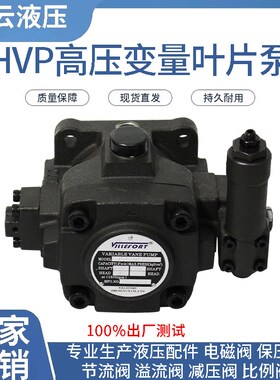 电动高压变量叶片泵 HVP30-140  HVP40-140液压站泵头14mpa
