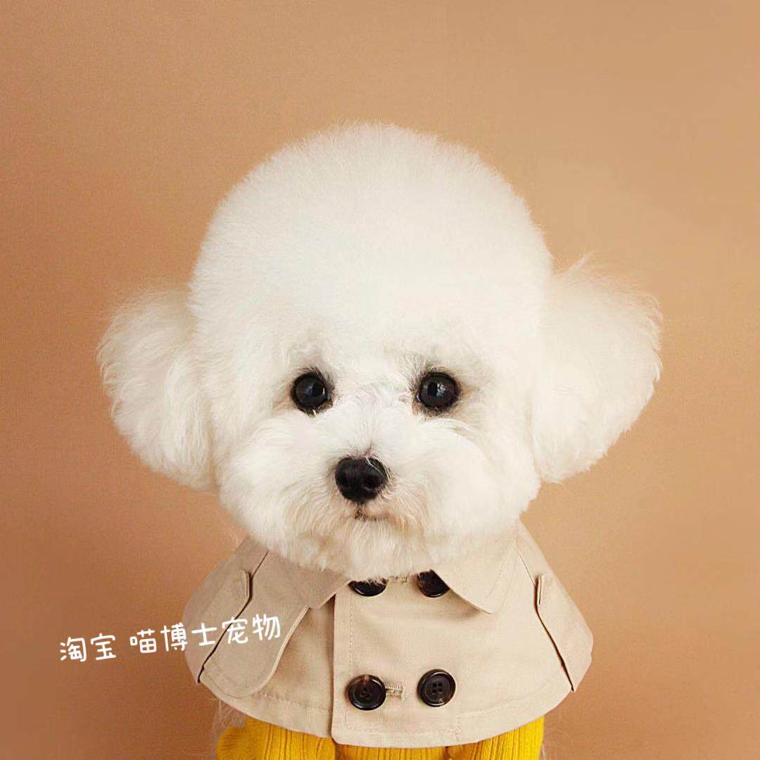帅气狗狗衣服猫咪秋冬保暖风衣可爱泰迪布偶英伦斗篷双排扣披风围