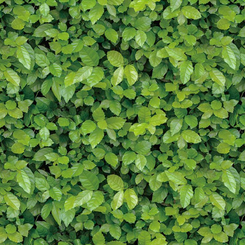 草坪墙壁贴纸翻新店铺清新绿叶墙纸餐厅客厅背景墙贴自粘防水壁纸