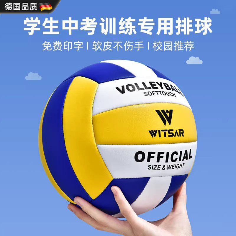 德国进口排球中考学生专用5号