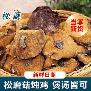 东北野生松蘑干松树蘑粘团子粘窝子松蛾子粘蛾子山蛾子松伞蘑干货