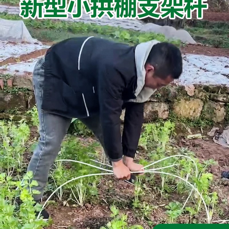 新型小拱棚支架拱杆秧苗蔬菜地温室大棚实心玻璃纤维杆玻璃钢农用