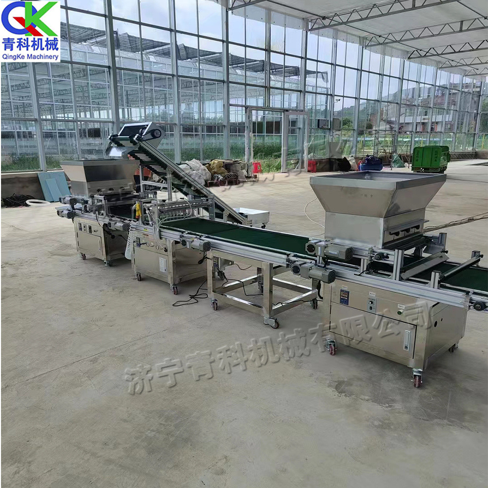 全自动穴盘育苗播种机 番茄辣椒穴盘种植点种机 花卉植被育苗机器