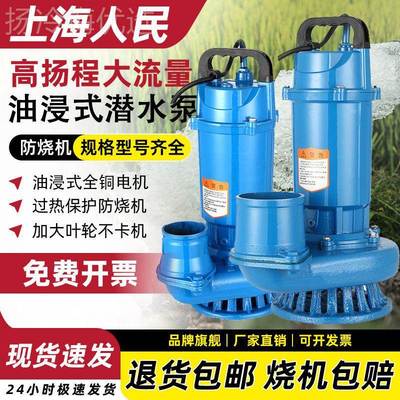 上海上海流人民220V潜水泵3451342寸清水寸泵农用灌高溉家用大量