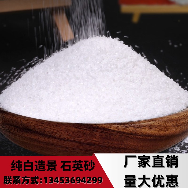 河北白石英沙天然沙造景白沙子装饰用白色细沙颗粒沙石