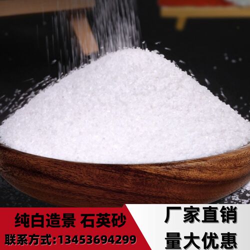 河北白石英沙天然沙造景白沙子装饰用白色细沙颗粒沙石