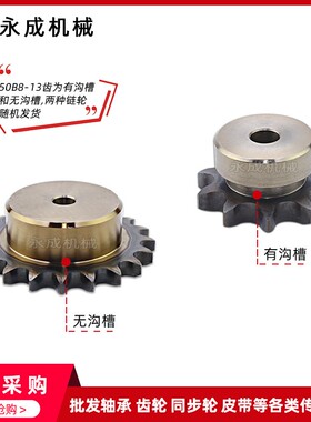 SCS高精度链轮5分10A 50B33齿 50B34齿 50B35齿 50B36齿 单排碳钢