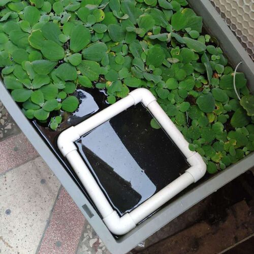 悦积分鱼缸投食圈乌龟缸漂浮喂食器水族箱鱼塘喂食鱼粮龟粮仿飘散