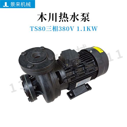 380V导热油TS-80循环泵高温热油泵木川热水泵模温机三相