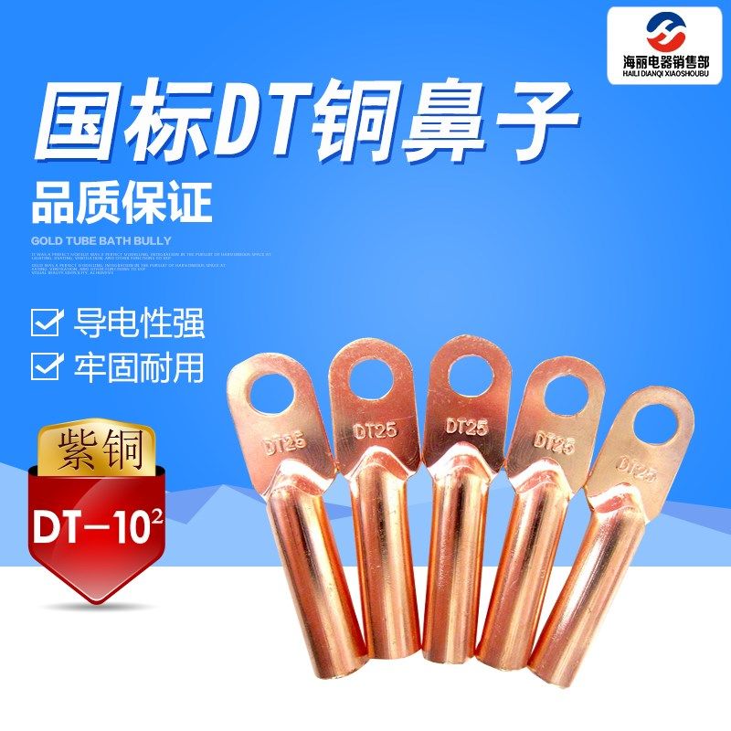 电缆铜接线鼻堵油铜鼻子接线端子铜接头端子国标10平方DT-10mm²