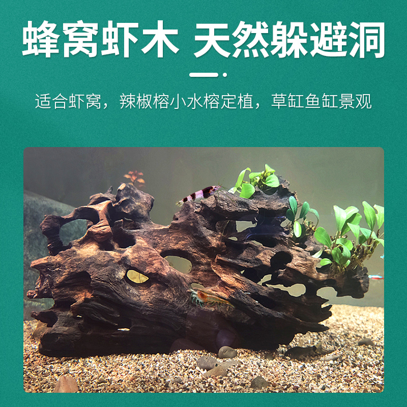 天然虾木沉木蜂窝木造景水族微景观鱼虾躲避屋鱼缸造景装饰观赏虾