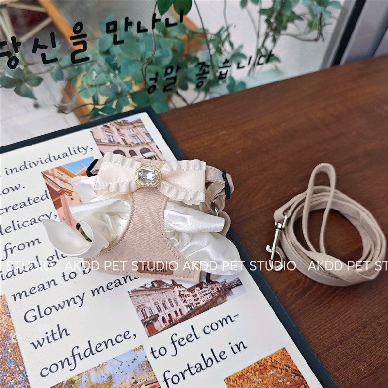 宠物猫咪狗狗遛狗溜猫牵引绳小型犬胸背带背心式幼犬茶杯小体泰迪
