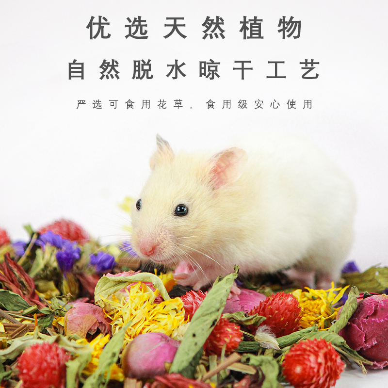 仓鼠花草垫料除臭夏天金丝熊垫材木屑仓鼠用品笼子造景装饰窝消暑