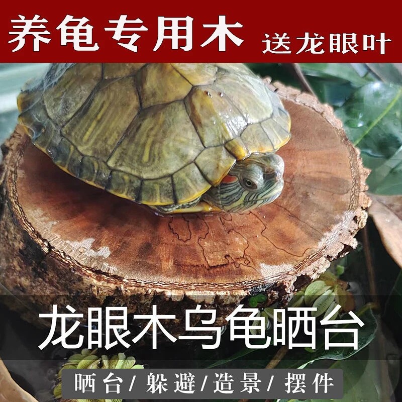 龙眼木乌龟晒台龟缸造景天木摆件养龟躲避专用垫脚休息晒背宠物龟