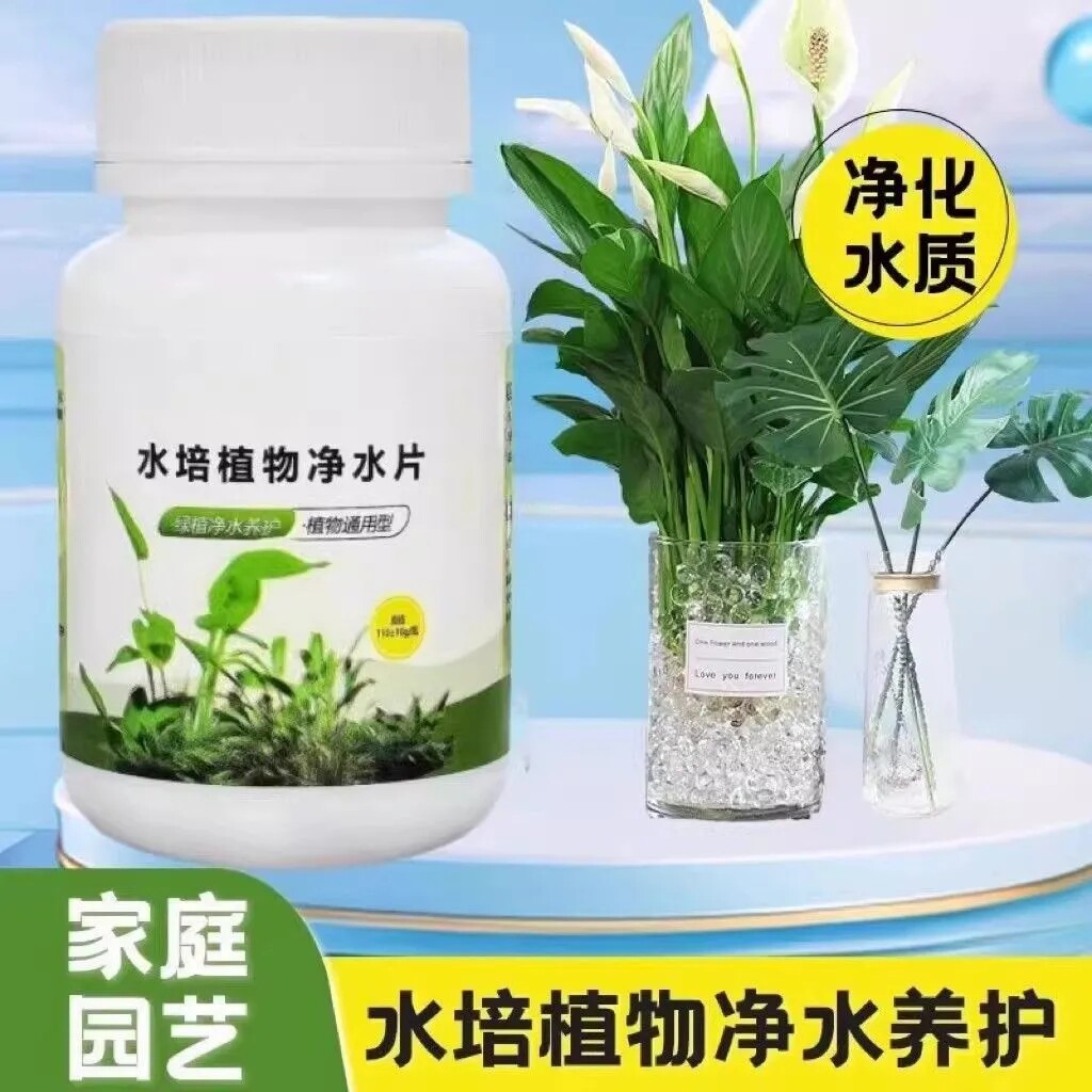 水培植物增氧片净水片营养片防臭水促生根浑水水培花卉通用净水片