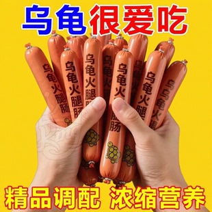 乌龟开食火腿肠高蛋白诱食快无盐防拒食无盐防营养不良病减少龟病
