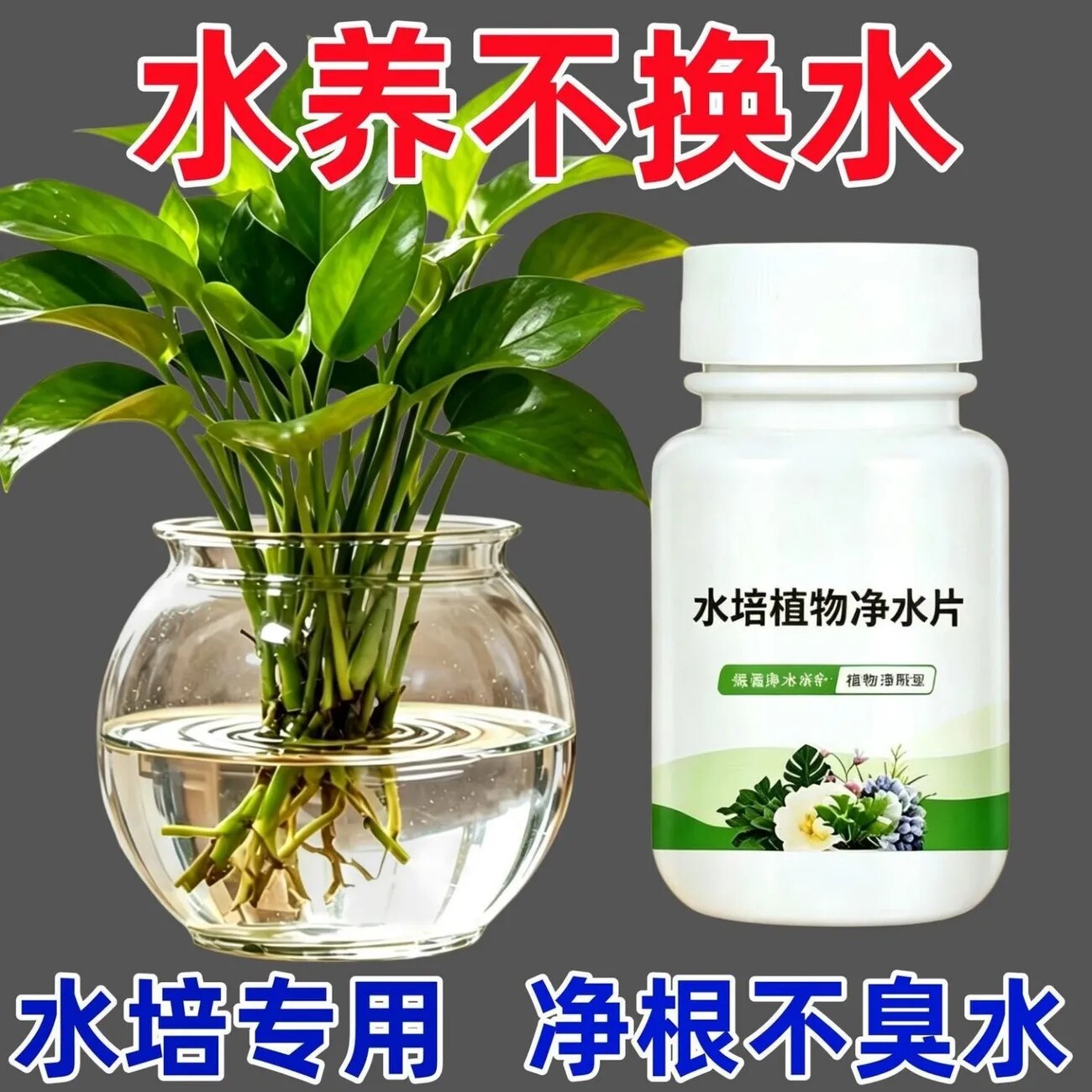 水培植物净水片鲜花保鲜促生根壮根净水保鲜剂碗莲水培通用净水剂