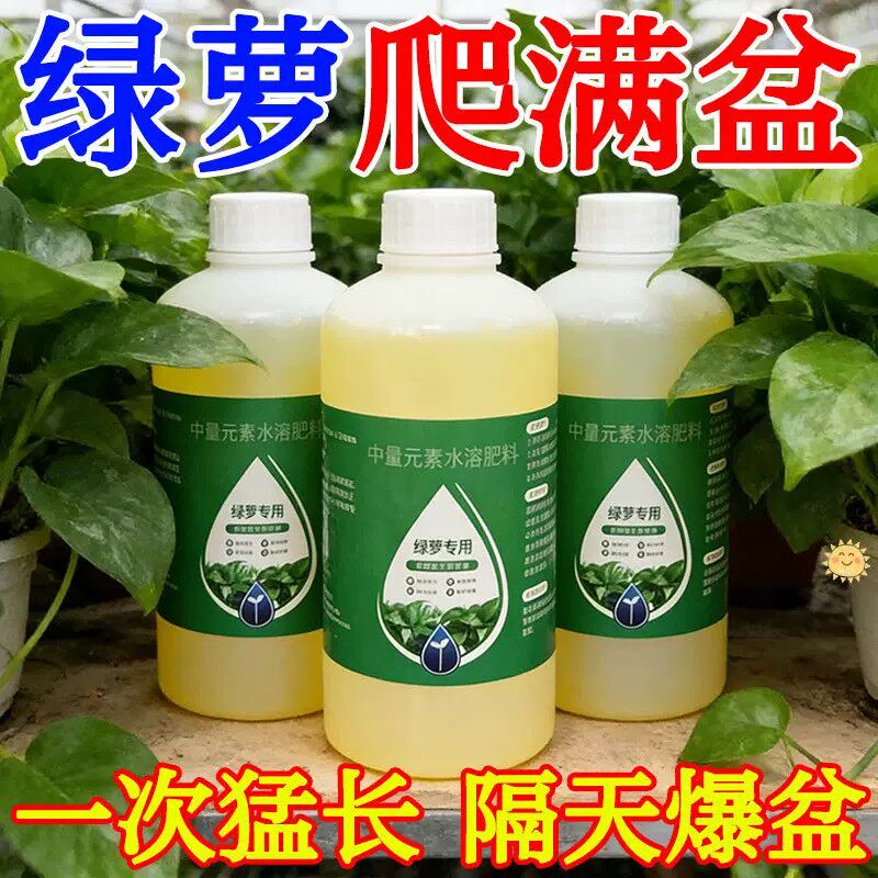 绿萝专用营养液家用水培促长