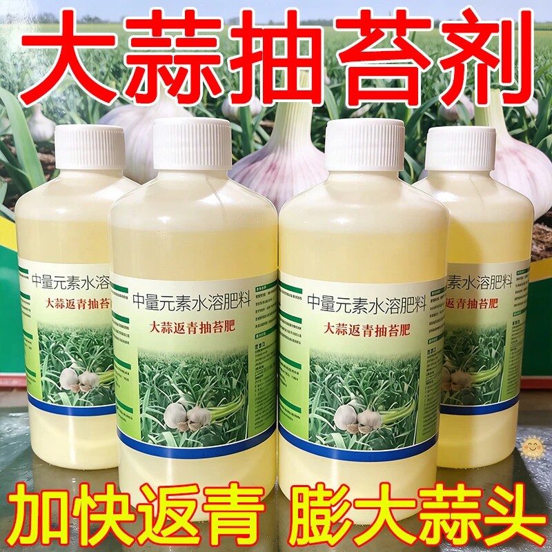 大蒜返青抽苔肥速效大蒜反青蒜头松口剂蒜苔抽苔剂增产专用水溶肥