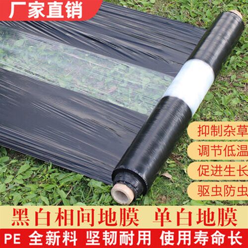 农用加厚黑白相间地膜单道白双道白保温保湿除草种地W种菜塑料薄
