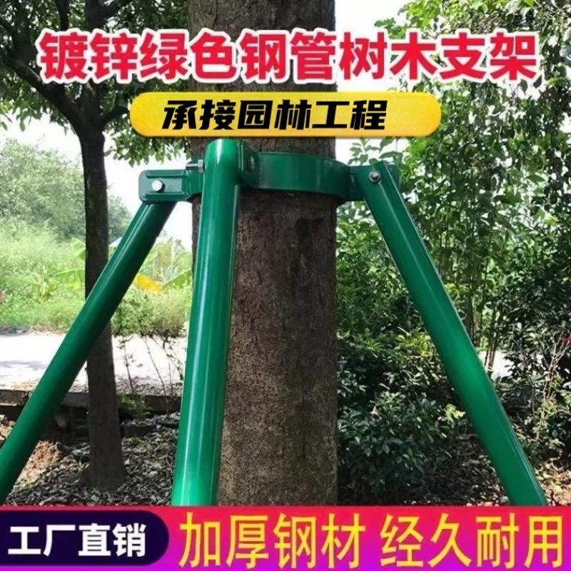 镀锌钢管树木支撑架园林绿化防风支架树木支撑杆行道树苗木固定器