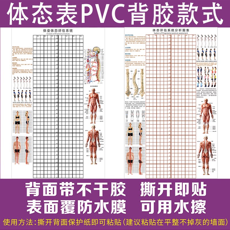 体态评估表墙贴h健身房体测网格背胶墙纸瑜伽馆儿童体态纠正体姿