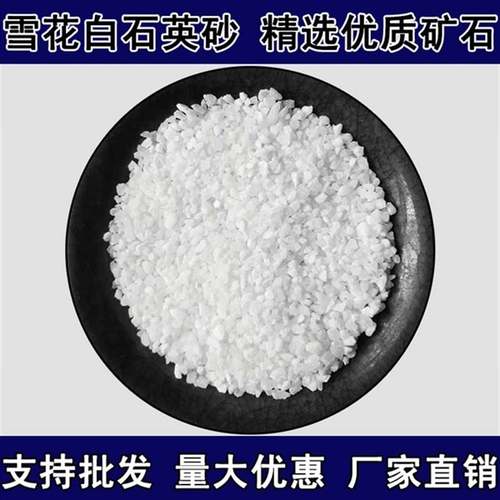 爆品5斤鱼缸底沙纯白石r英砂滤料酒E店垃圾桶烟灰缸造景沙游乐园