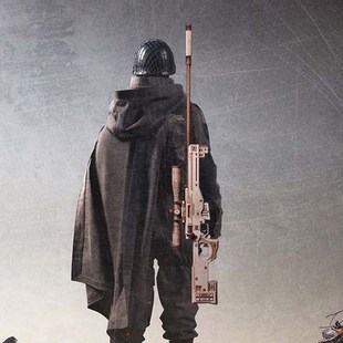 儿童玩具男孩积木枪拼装可射木制益智拼图9高难度13木质812岁6