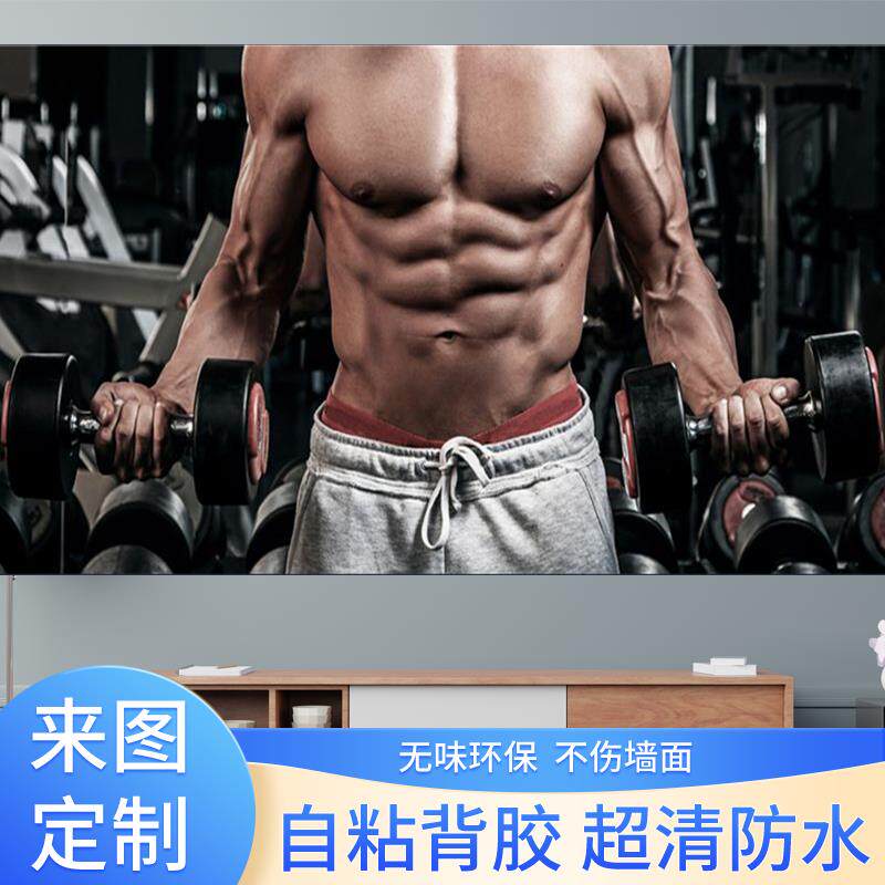 健身房墙纸拳击搏击壁纸壁画跆拳道背景墙贴俱乐部海报墙纸