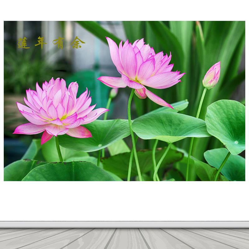 莲年有余荷花荷叶风景画荷荷美美墙画客厅办公室背景墙自粘装饰画图片