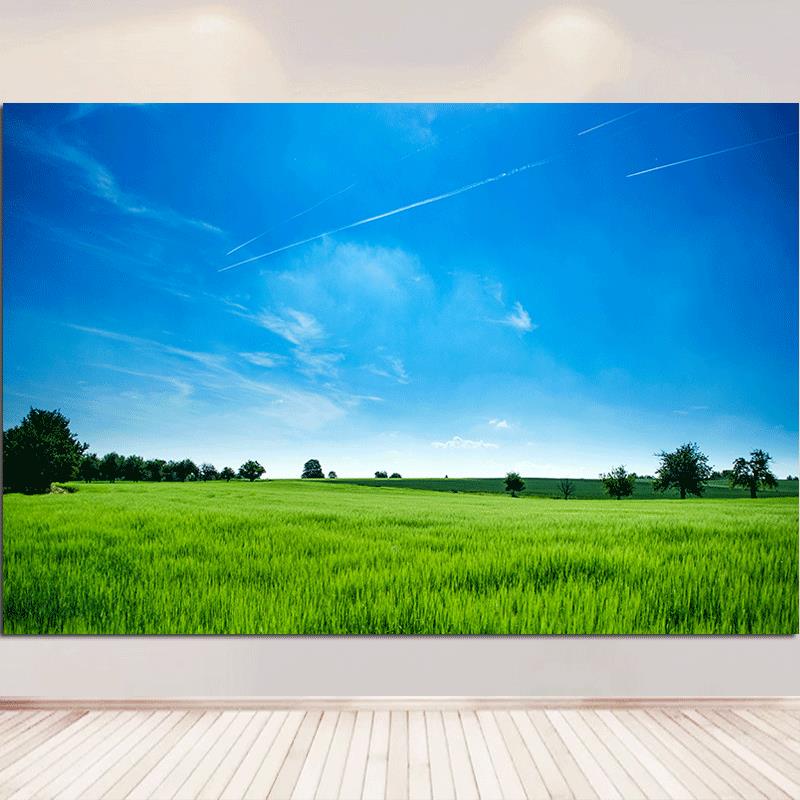 森林草原蓝天白云大自然风景画卧室客厅电视背景墙装饰壁画自粘画