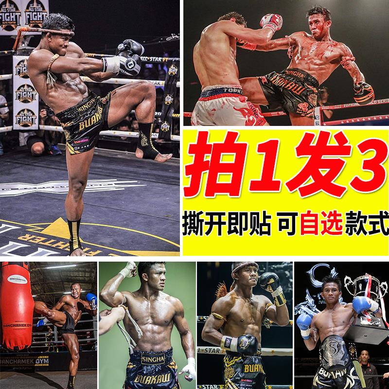 播求海报自由搏击泰拳王房间大尺寸自贴壁纸墙上装饰墙贴拳馆周边