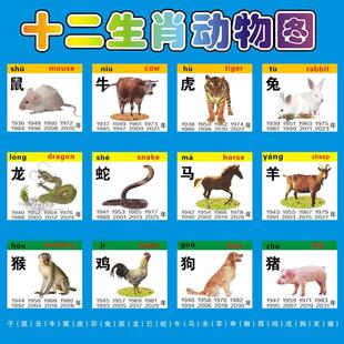 十二生肖动物海报画小鼠牛虎兔龙蛇马羊猴鸡狗猪属相图片墙贴纸画