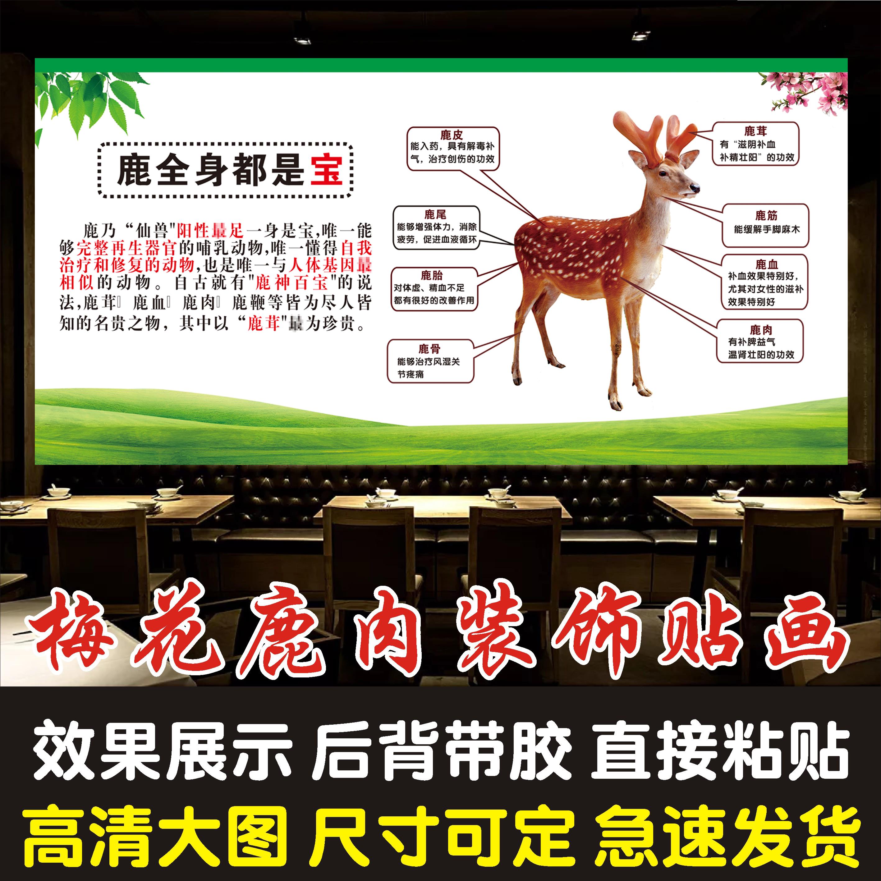 清新鹿肉海报贴纸墙贴梅花鹿功效分解结构图壁画装饰画背景墙贴画图片